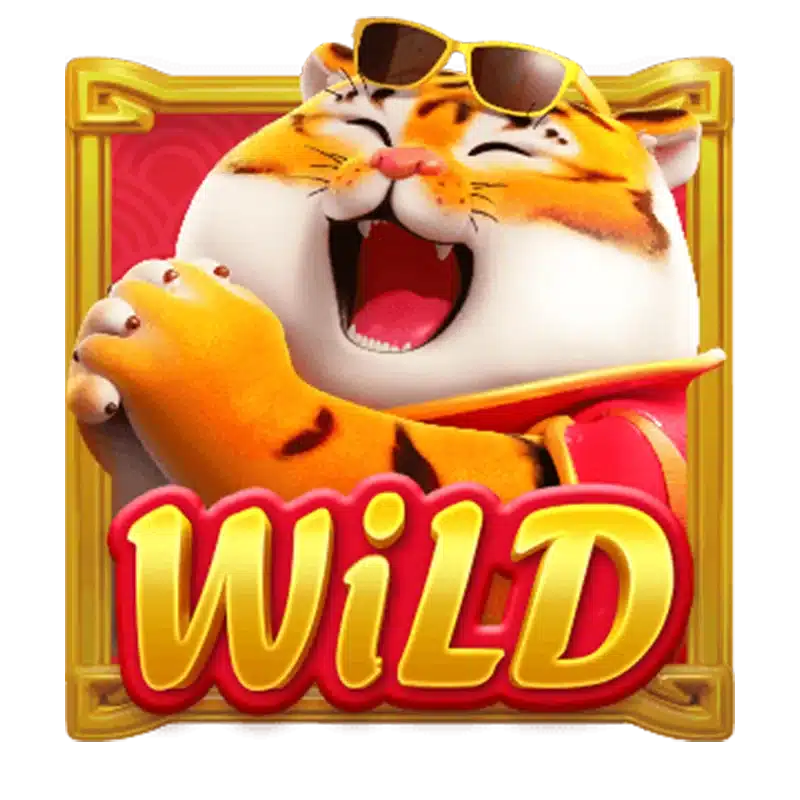 เครื่องหมายพิเศษWild